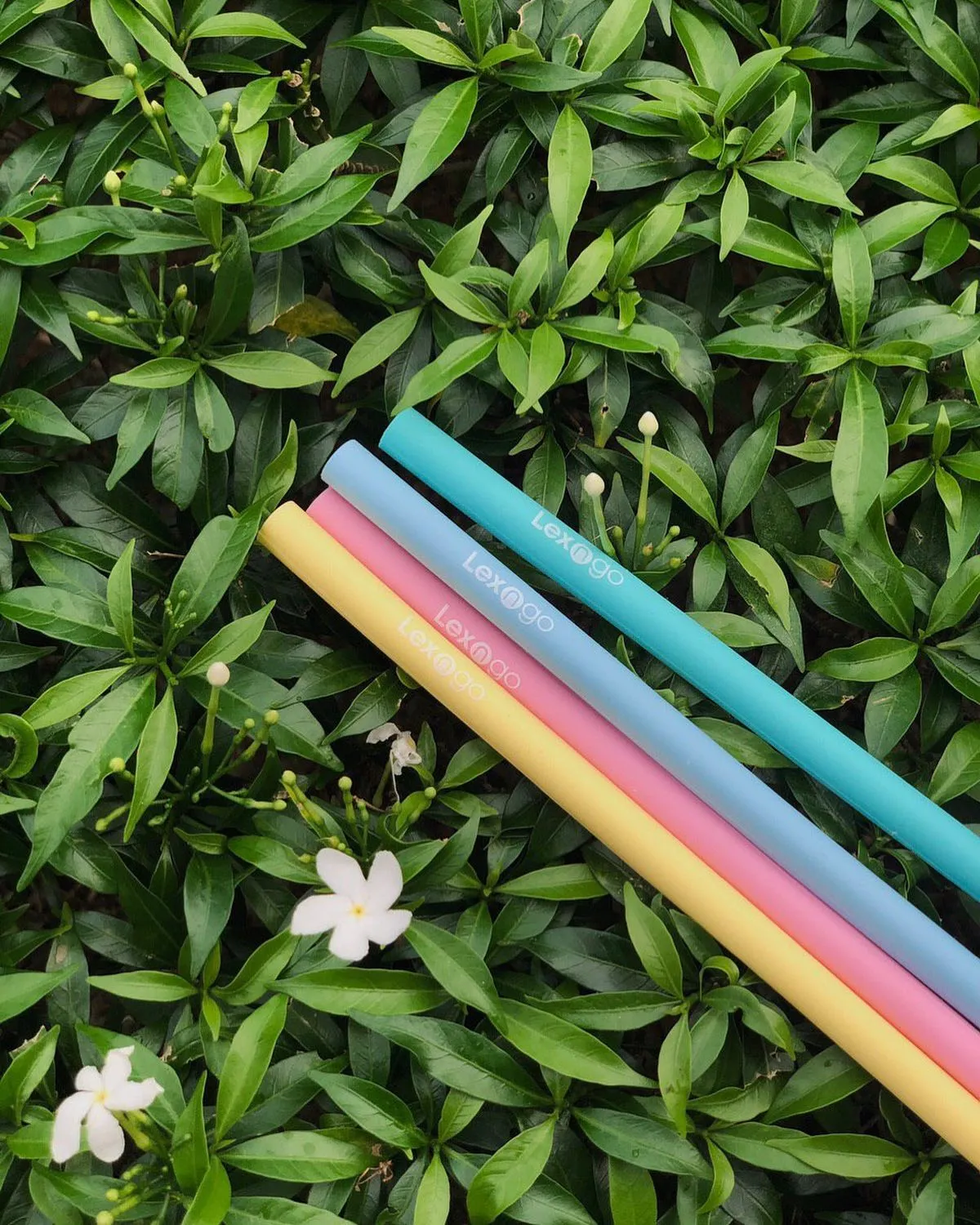 LEXNGO: Silicone Resealable Reusable Straws - Pack Of 4 (22cml)