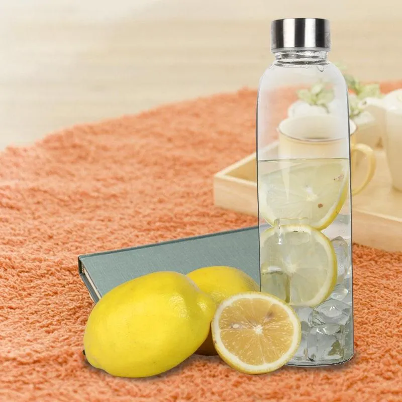 Minimalist Style Glass Sport Water Bottle